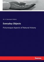 Everyday Objects