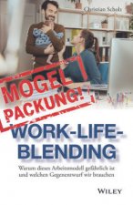 Mogelpackung Work-Life-Blending - Warum dieses Arbeitsmodell gefahrlich ist und welchen Gegenentwurf wir brauche