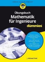 UEbungsbuch Mathematik fur Ingenieure fur Dummies