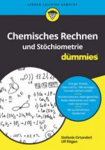 Chemisches Rechnen und Stoechiometrie fur Dummies