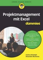 Projektmanagement mit Excel fur Dummies