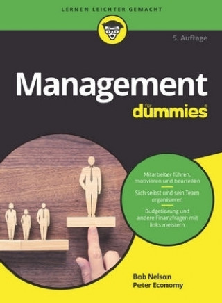 Management fur Dummies