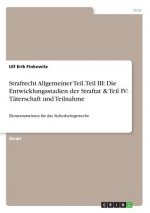 Strafrecht Allgemeiner Teil. Teil III