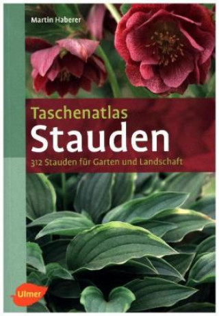 Haberer, M: Taschenatlas Stauden