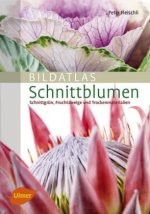 Bildatlas Schnittblumen