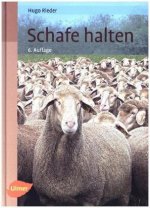 Schafe halten