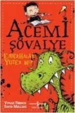 Acemi Sövalye