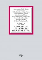 Conceptos de Derecho procesal civil