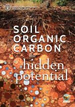 Soil organic carbon