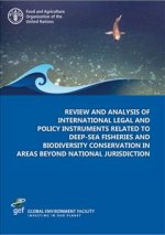 Review and analysis of international legal and policy instruments related to deep-sea fisheries and biodiversity conservation in areas beyond national