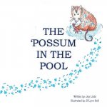 Possum in the Pool