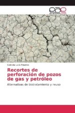 Recortes de perforación de pozos de gas y petróleo