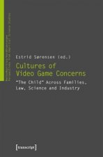 Cultures of Video Game Concerns - 