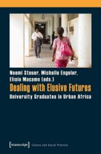 Dealing with Elusive Futures - University Graduates in Urban Africa