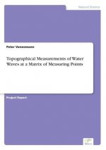 Topographical Measurements of Water Waves at a Matrix of Measuring Points