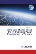 Some Case Studies about the Hydroelectric Power Development in Vietnam