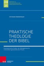 Praktische Theologie der Bibel