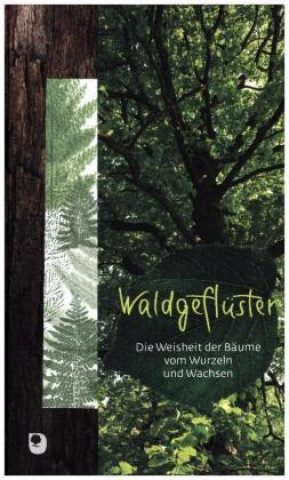 Waldgeflüster