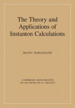 Theory and Applications of Instanton Calculations