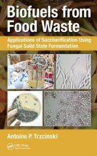 Biofuels from Food Waste