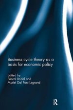 Business cycle theory as a basis for economic policy