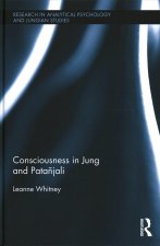 Consciousness in Jung and Patanjali