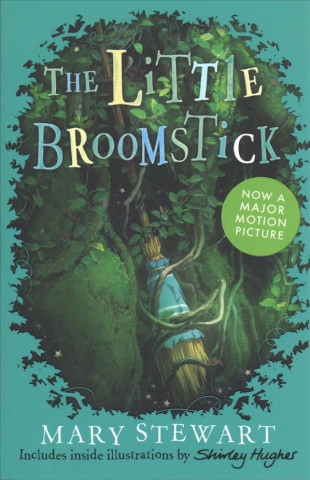 Little Broomstick