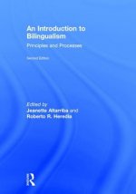 Introduction to Bilingualism