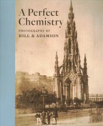 Perfect Chemistry: Photographs by Hill and Adamson