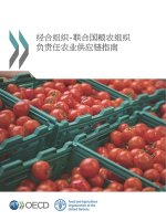 Oecd-Fao Guidance for Responsible Agricultural Supply Chains (Chinese Version)