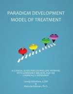 PARADIGM DEVELOPMENTAL MODEL O