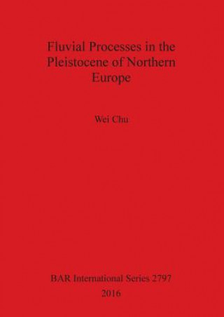 Fluvial processes in the Pleistocene of northern Europe