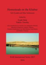 Excavation report for the Yale University excavations at Tell Ziyadeh (Khabur Basin, Syria)