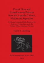 Forest Fires and Abandonment Patterns from the Aguada Culture, Northwest Argentina