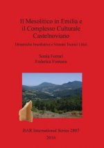 Mesolitico in Emilia e il Complesso Culturale Castelnoviano