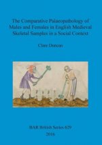 Comparative Palaeopathology of Males and Females in English Medieval Skeletal Samples in a Social Context