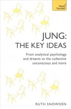 Jung: The Key Ideas