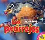 Los Petirrojos