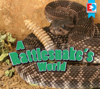 A Rattlesnake's World