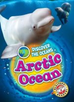 ARCTIC OCEAN