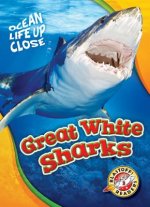 GRT WHITE SHARKS
