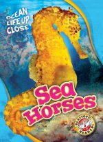 SEA HORSES