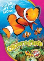 CLOWNFISH