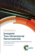 Inorganic Two-dimensional Nanomaterials