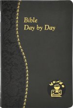 BIBLE DAY BY DAY GRAY LEATHER