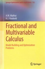 Fractional and Multivariable Calculus