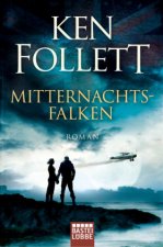 Mitternachtsfalken