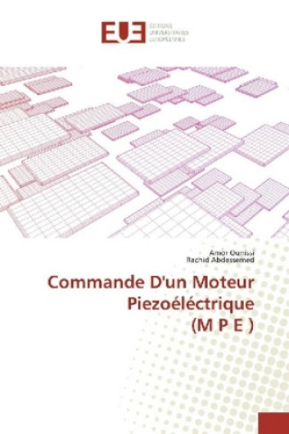 Commande D'un Moteur Piezoéléctrique (M P E )
