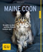 Maine Coon
