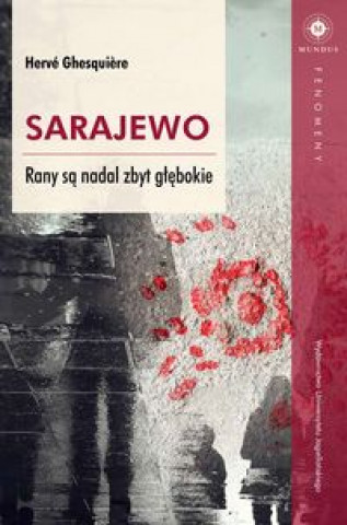 Sarajewo Rany sa nadal zbyt glebokie